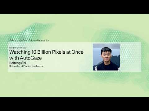 Baifeng Shi - Watching 10 Billion Pixels at Once with AutoGaze