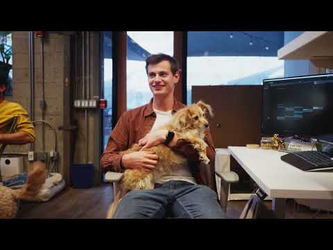 How Modern Animal is bringing humanity back to veterinary care with AI.